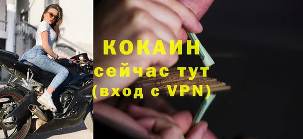 стаф Бородино