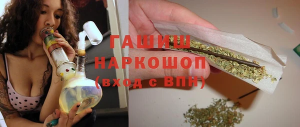 стаф Бородино
